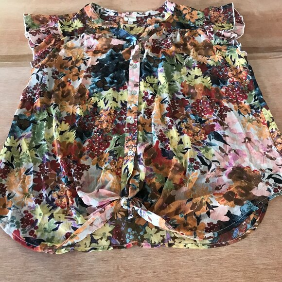 Fig and Flower Tunic Top Women 2XL Blue Floral Button Up Short Sleeve Peasant - Picture 1 of 12